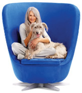 Petplan charity extranet