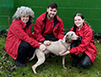 Durham Cats & Dogs Home