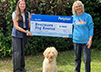 EverMore Dog Rescue