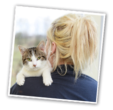 Animal Charity Awards 2025
