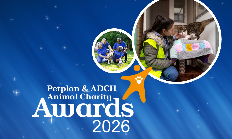 Animal Charity Awards 2026 banner